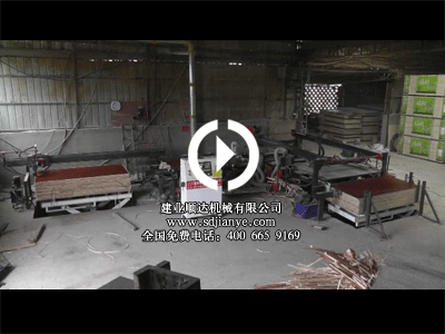 無人操作高檔鋸邊機(jī)