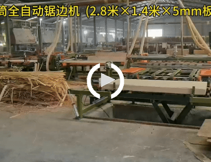 輥筒全自動(dòng)鋸邊機(jī)